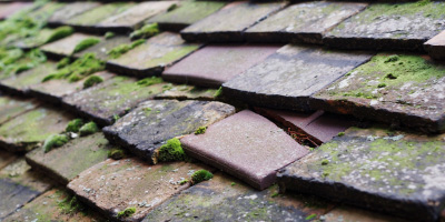 Brighton Le Sands roof repair costs
